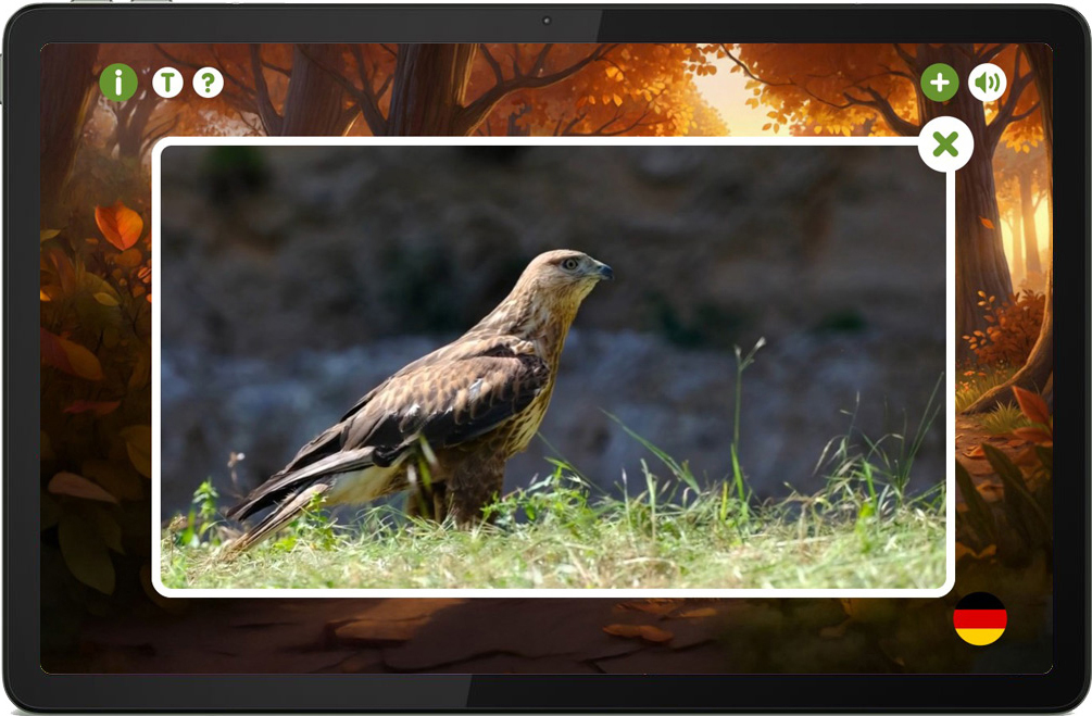 Edu Book — Zusatzinhalte mit Realfoto eines Bussards